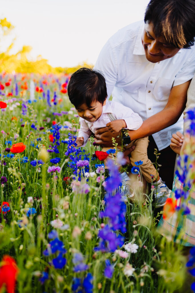 baby boy being held by his father over the wildflowers. the boy is smiling as he looks at the flowers
