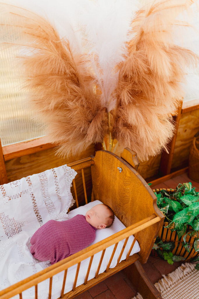santa fe newborn session